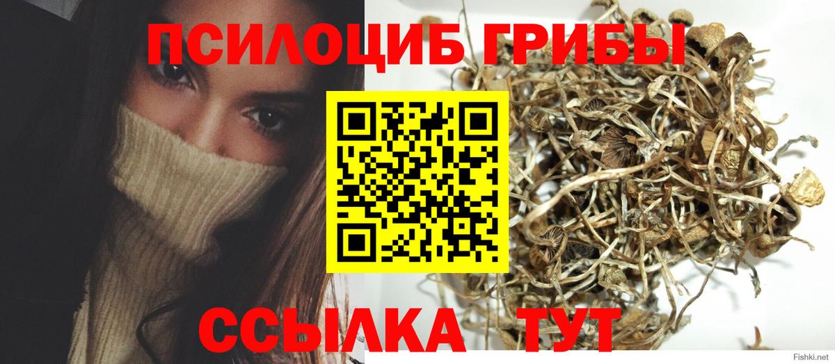 Галлюциногенные грибы прущие грибы  Галлюциногенные грибы Psilocybine cubensis  Вход с VPN  Лесной 